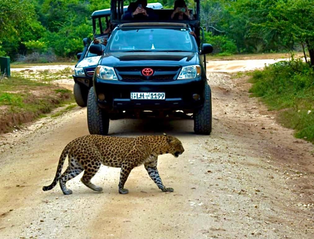 Yala Safari Village Maha Akurugoda Exterior photo